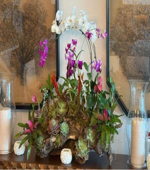 White Potted Phalaenopsis Orchids & Purple Dendro