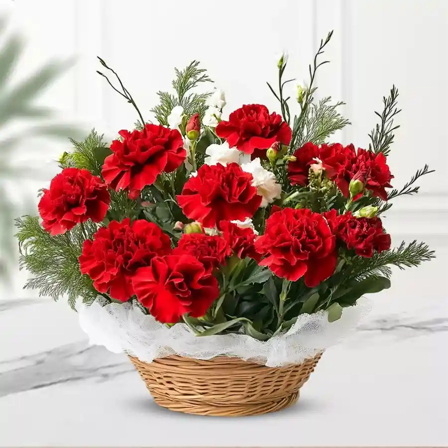 20 Fresh Red Carnation Flowers